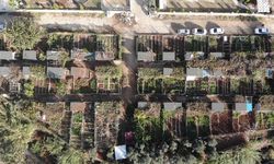 Mersin'de belediye, kronik hastaların hobi bahçesini yıkacak iddiası