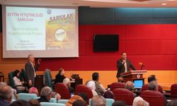 Mersin’de Sarıulak zeytini için üreticilere eğitim verildi