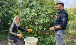 Mersinlilerin ekmekleri limondan