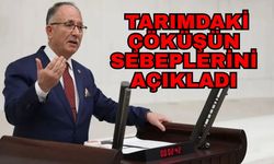 Milletvekili Kılıç tarımdaki çöküşün sebeplerini açıkladı