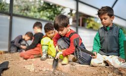 Minik eller tohumları toprakla buluşturdu