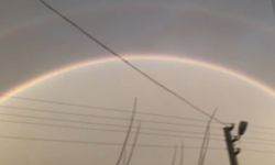 Serik’te nadir görüntü vatandaşları hayran bıraktı