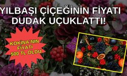 Yılbaşı çiçeğinin fiyatı dudak uçuklattı! Kokina’nın fiyatı 500 TL oldu