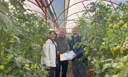 Antalya tarımında verimlilik hamlesi