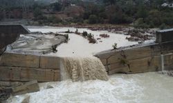 Adana’da kuruyan Deliçay 4 yılın ardından yeniden akmaya başladı