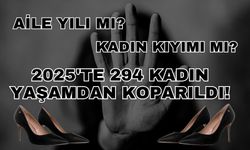 “Aile Yılı” mı, kadın kıyımı mı? 2025’te 294 kadın yaşamdan koparıldı