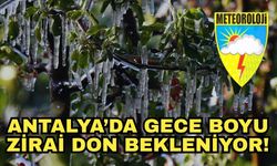 Meteoroloji'den üreticilere kritik uyarı! Antalya’da gece boyu zirai don bekleniyor!