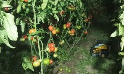 Antalya’da geceler uzadı nöbetler başladı