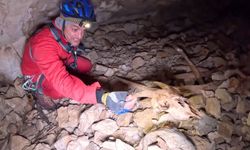 Antalya’da keşif için girdikleri manzarada gözlerine inanamadılar