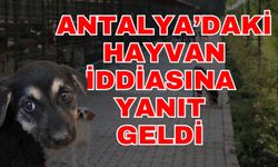 Antalya’daki hayvan iddiasına yanıt geldi