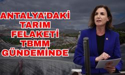 Antalya’daki tarım felaketi TBMM gündeminde