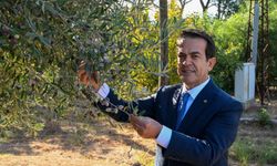 Antalya’nın en kalitelisinin seçileceği yarışma için son tarih belli oldu