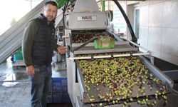 Antalya’nın Kumluca ilçesi zeytinyağı deposuna döndü