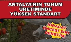 Antalya’nın tohum üretiminde yüksek standart… İhracat öncesi sıkı denetim!