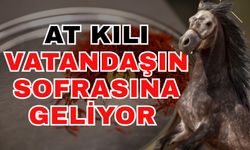 At kılı vatandaşın sofrasına geliyor