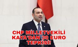CHP Milletvekili Kaya'dan 30 Euro tepkisi!