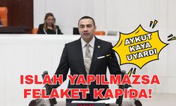 Milletvekili Aykut Kaya uyardı... Islah yapılmazsa felaket kapıda!