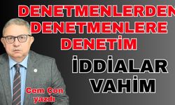 Denetmenlerden denetmenlere denetim