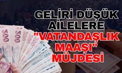 Haziranda başlıyor! Geliri düşük ailelere "Vatandaşlık maaşı" müjdesi
