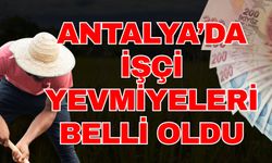 Antalya’da işçi yevmiyeleri belli oldu! İşçi yevmiyeleri ne kadar?