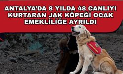 Antalya’da 8 yılda 48 canlıyı kurtaran JAK köpeği ocak emekliliğe ayrıldı