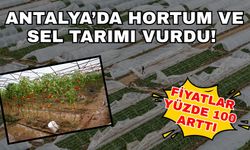 Antalya’da hortum ve sel tarımı vurdu! Fiyatlar yüzde 100 arttı