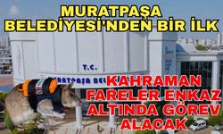 Muratpaşa Belediyesi'nden Türkiye’de bir ilk... Kahraman fareler enkaz altında görev alacak