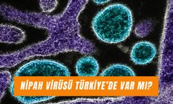 Nipah Virüsü Türkiye’de Var Mı? Belirtileri Neler?