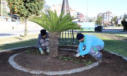 Park ve bahçelerde kış çalışmaları