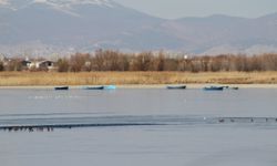 Şiddetli soğuklar Beyşehir Gölü kıyılarının buz tutmasına yol açtı
