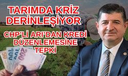 Tarımda kriz derinleşiyor: CHP’li Arı’dan kredi düzenlemesine tepki