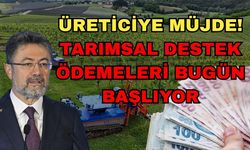 Üreticiye müjde! Tarımsal destek ödemeleri bugün başlıyor