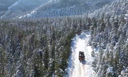 Türkiye’nin en sıcak şehrinde yürekleri soğutan manzara