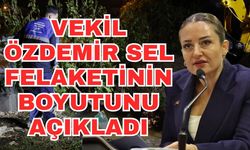 Vekil Özdemir sel felaketinin boyutunu açıkladı