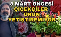 8 Mart öncesi çiçekçiler ürün yetiştiremiyor