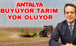 Antalya büyüyor tarım yok oluyor