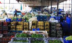 Antalya, Burdur ve Isparta’nın şampiyonu biber oldu