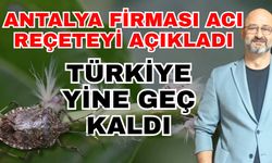 Antalya firması acı reçeteyi açıkladı! Türkiye böcek kullanımında geç kaldı
