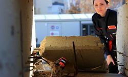 Antalya'daki projenin fareleri enkazda göz olacak