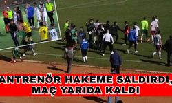 Antrenör hakeme saldırdı, maç yarıda kaldı