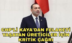 CHP'li Kaya'dan felaketi yaşayan üreticiler için kritik çağrı