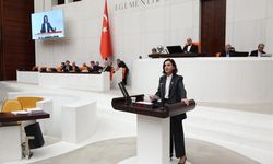 CHP’li Aliye Coşar’dan TBMM’de Antalya uyarısı: Altyapı yapılmadan kazalar önlenmez