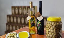 Dr. Kahraman: "Tavşan yüreği zeytinyağı, kemoterapi kadar etkili"