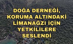 Doğa Derneği, koruma altındaki Limanağzı için yetkililere seslendi