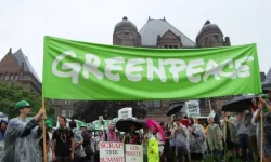 Greenpeace Türkiye: “İklim krizinin faturasını yurttaş ödüyor”