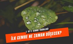 İlk Cemre Ne Zaman Düşecek 2026: 1. Ve 2. Cemre Düştü Mü?