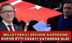 Milletvekili şehidin kardeşine küfür etti cezayı vatandaş aldı