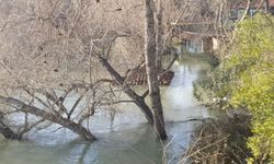 Manavgat Irmağı taştı, Antalya-Alanya otobanı sular altında kaldı