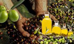 Antalya zeytin ve zeytinyağı zirvesine ev sahipliği yaptı