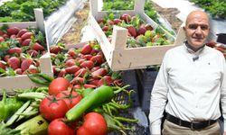 Antalya’daki sebze ve meyve fiyatlarındaki artışın sebebi ortaya çıktı